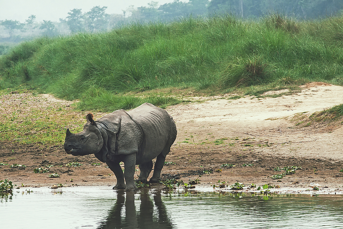 Nepal: The heart of the Himalayas