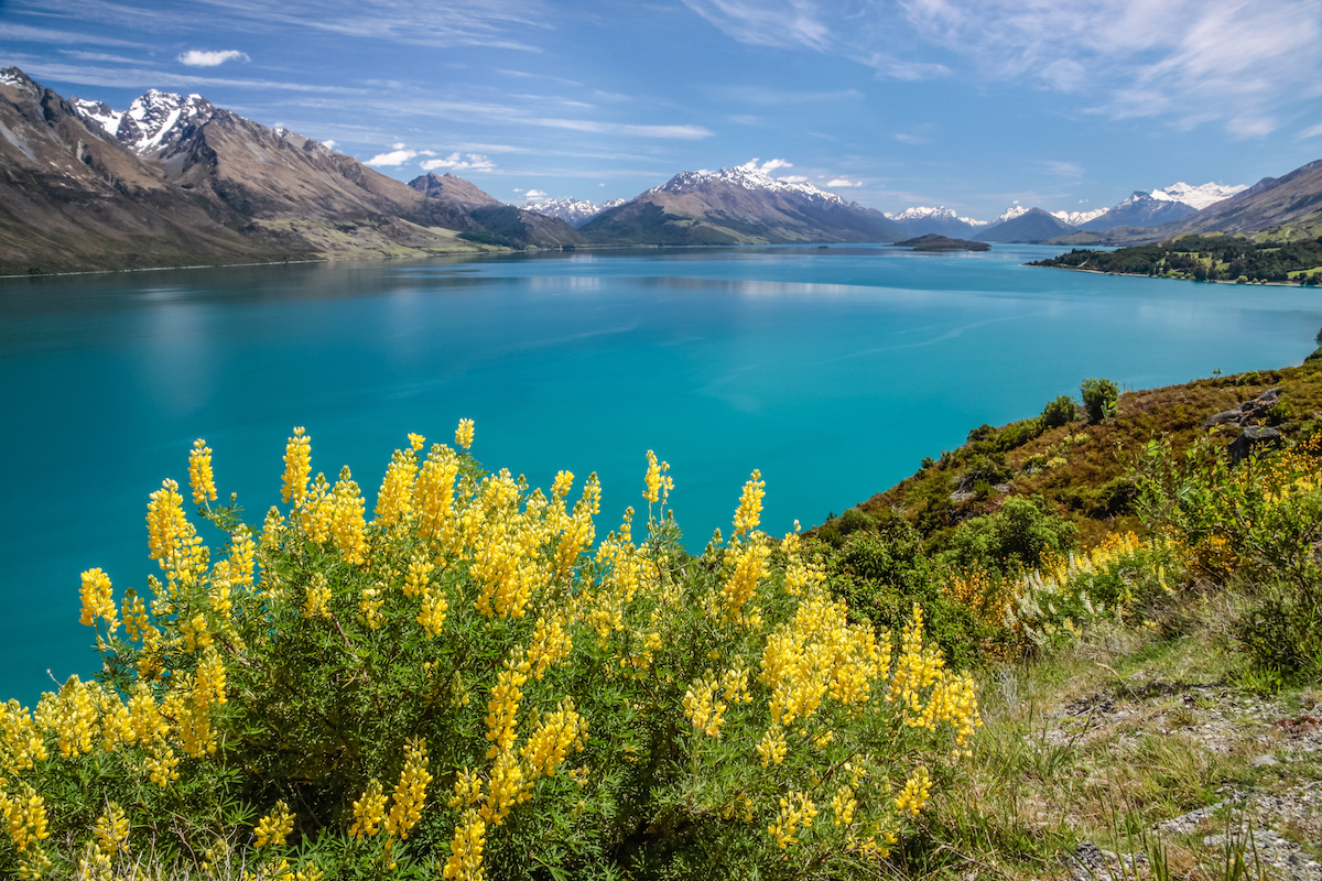 New Zealand motorbiking