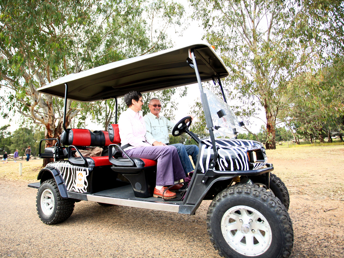 electric safari cart
