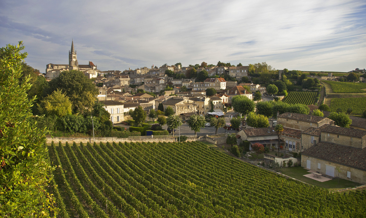 Vineyards below the old walls of Saint-Émilion town