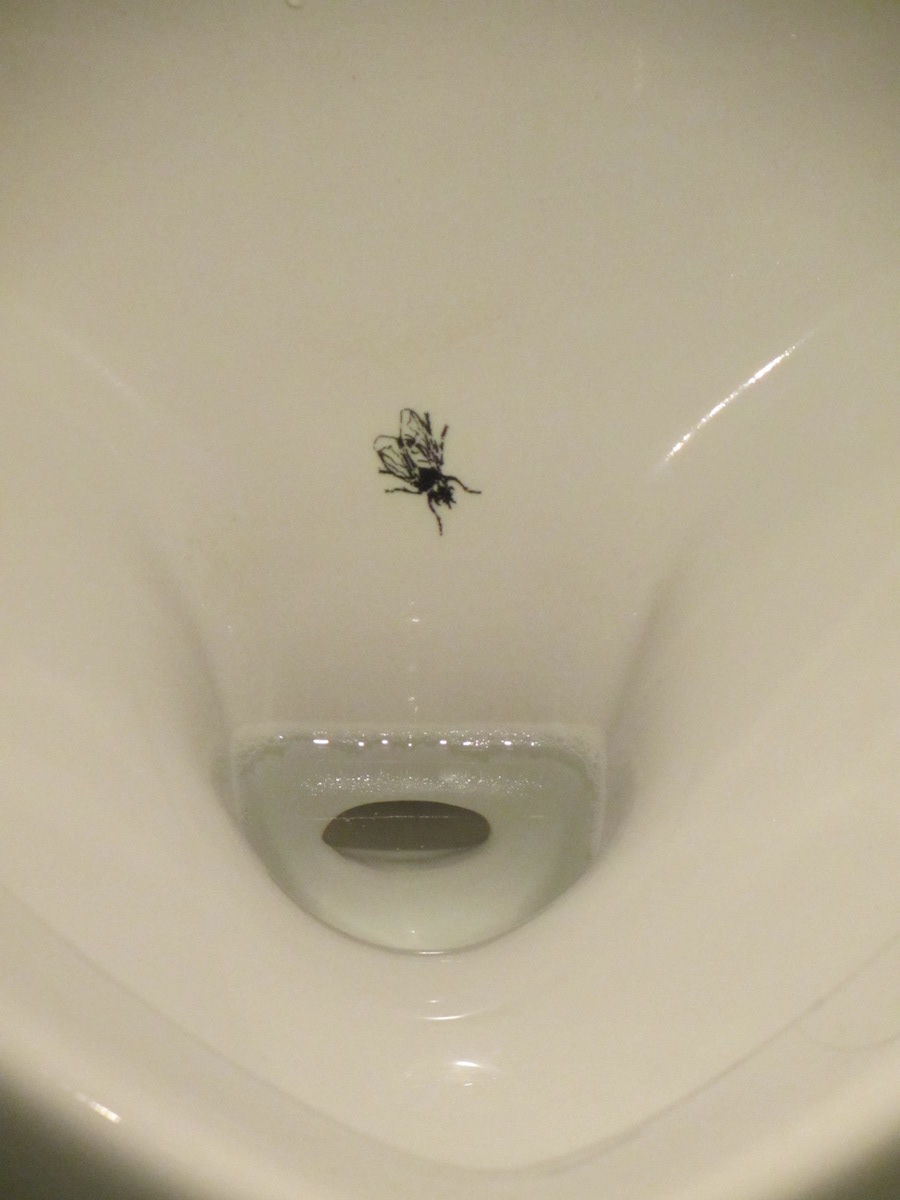 Amsterdam airport urinal with fly