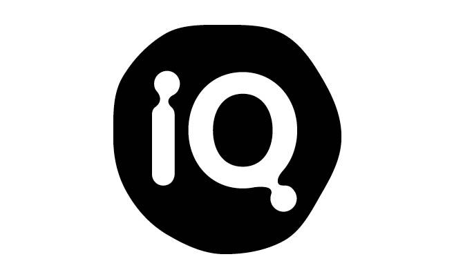 The IQ Group