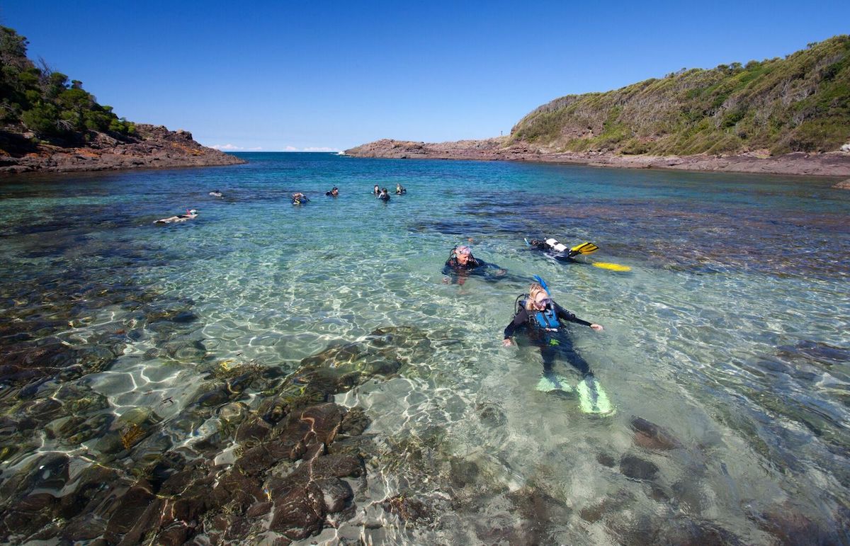 Bass Point Reserve