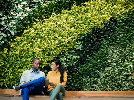 Why green culture attracts Gen Y