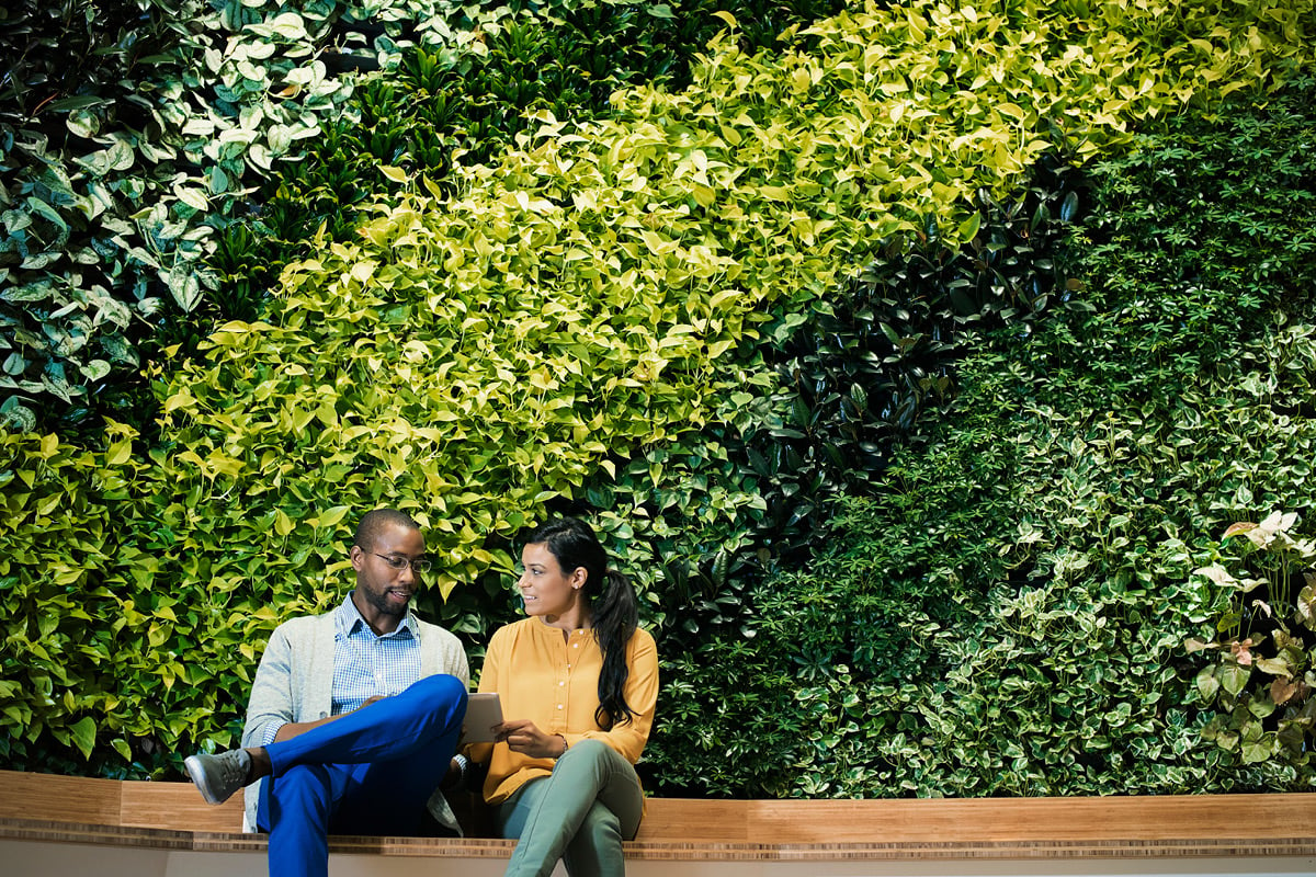 Why green culture attracts Gen Y