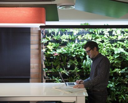 5 reasons to green your office