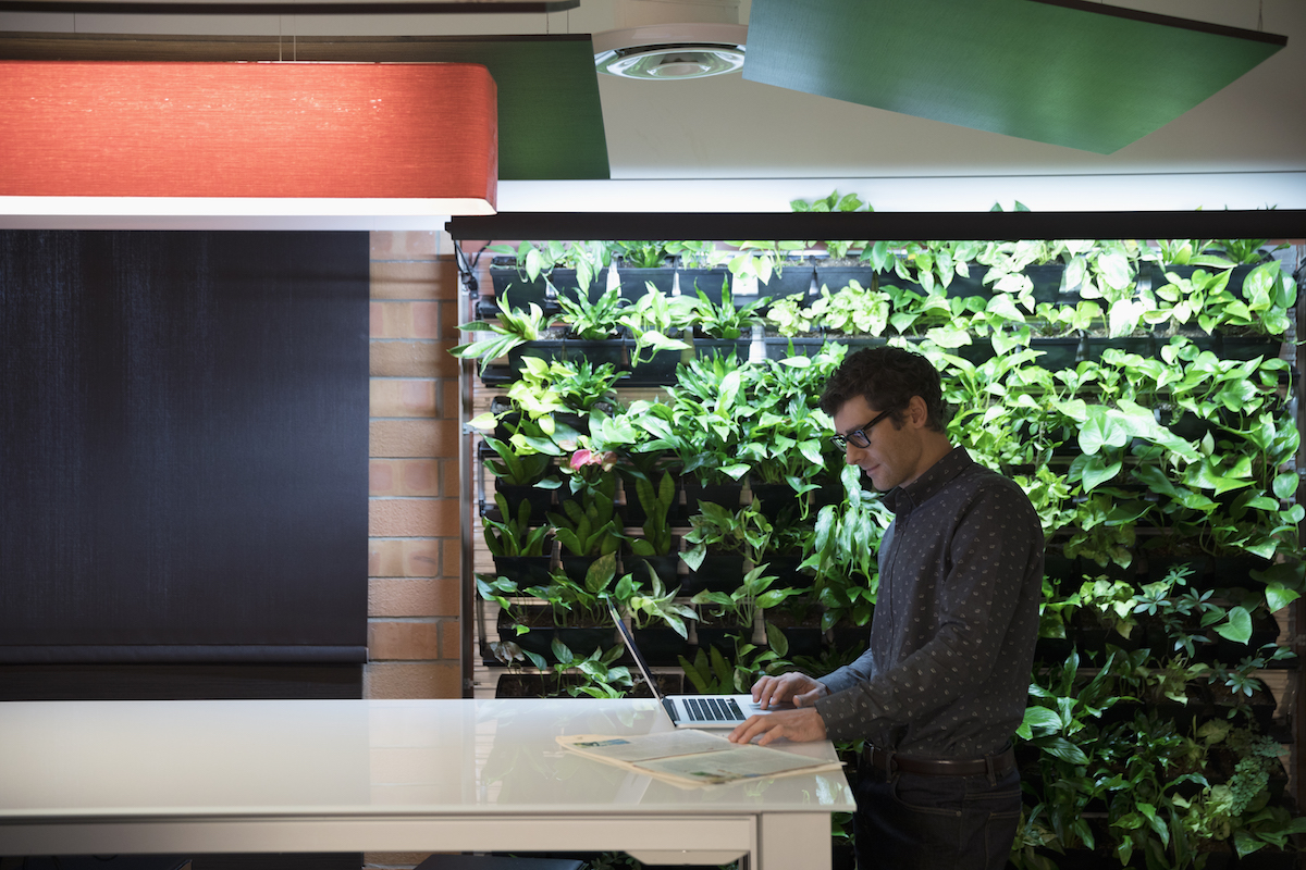 5 reasons to green your office