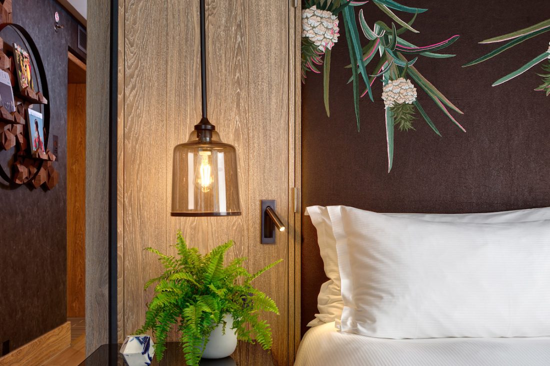 Vegan suite Vegan suite