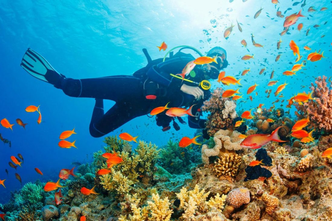 Belize Barrier Reef Belize Barrier Reef