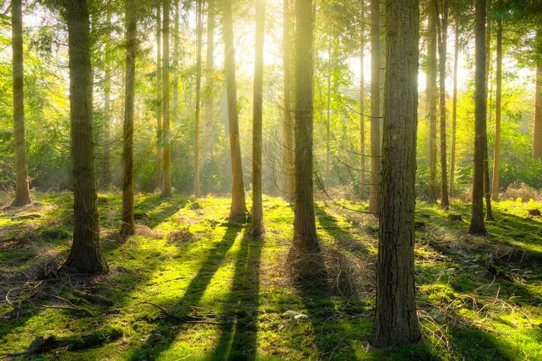 bitcoin-environment-4 Dubbed the money of the future, bitcoin could be doing more harm to the environment than good.