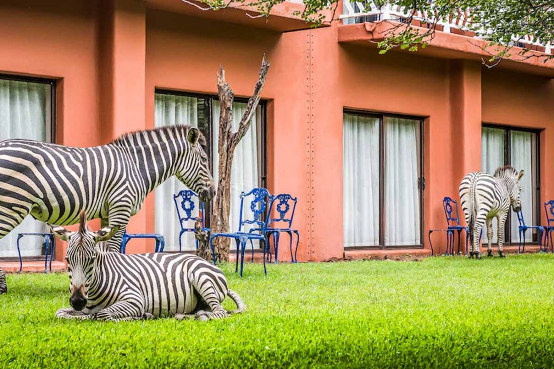 zambia-resort Zambia experience in Africa.