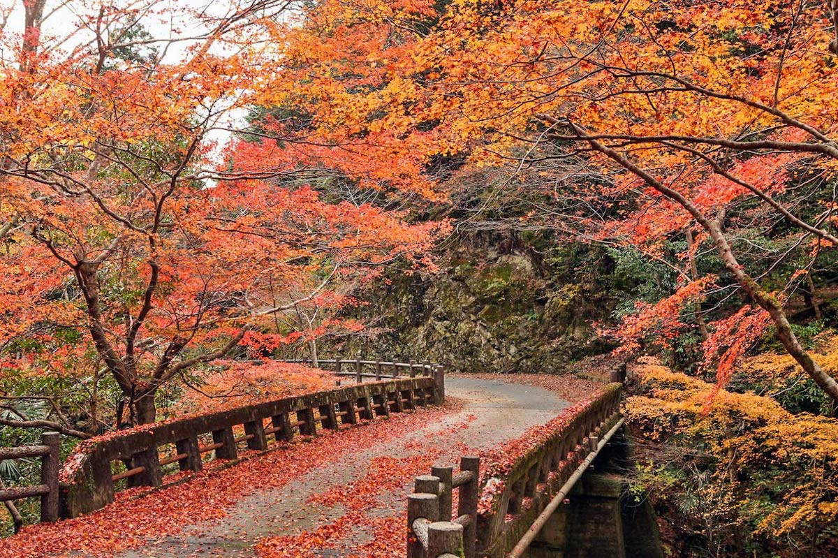 Shikoku, Japan