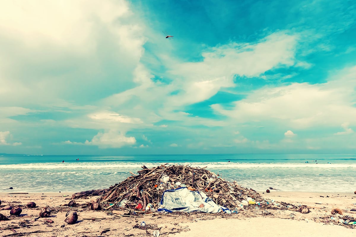 5 ways you can protect the planet from plastic pollution