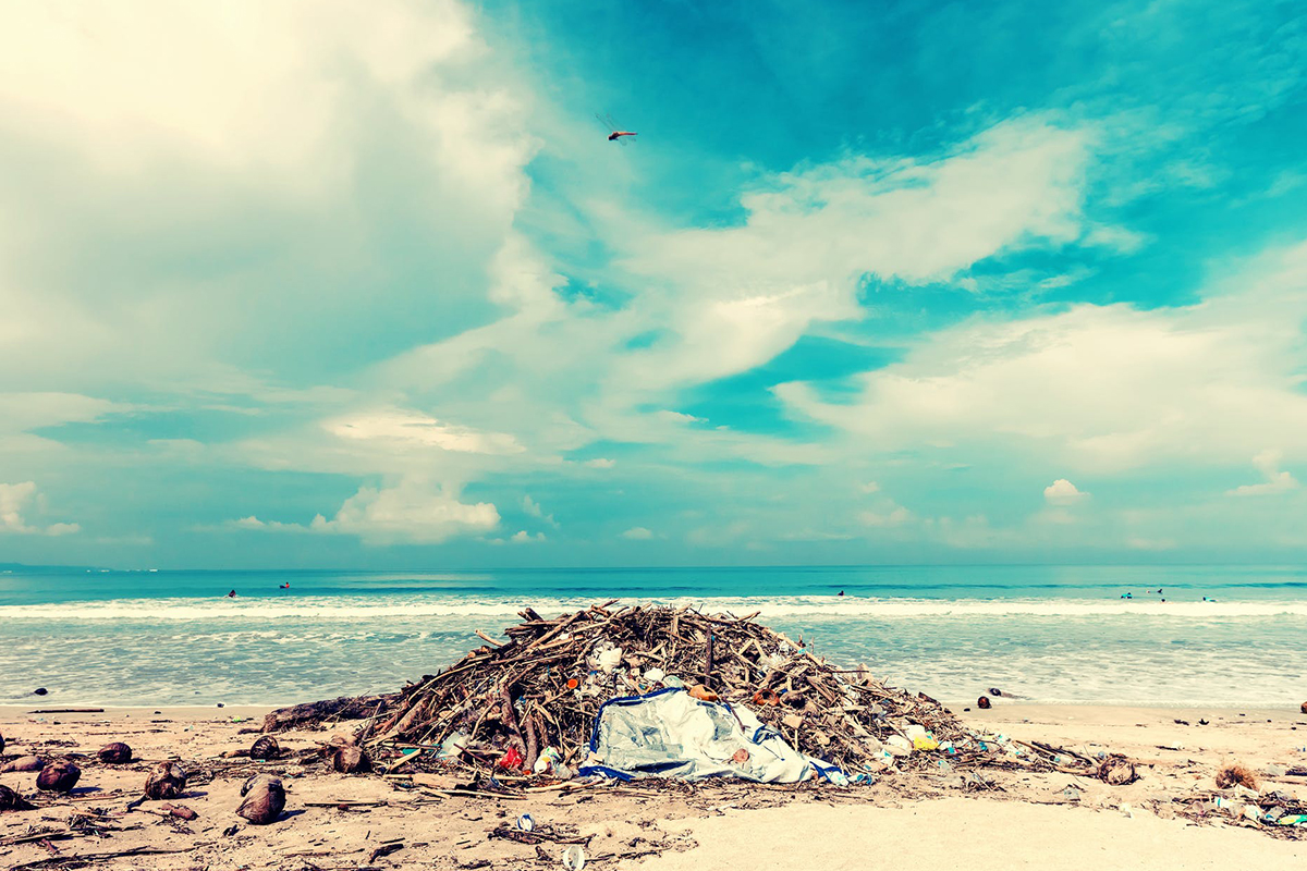 5 ways you can protect the planet from plastic pollution