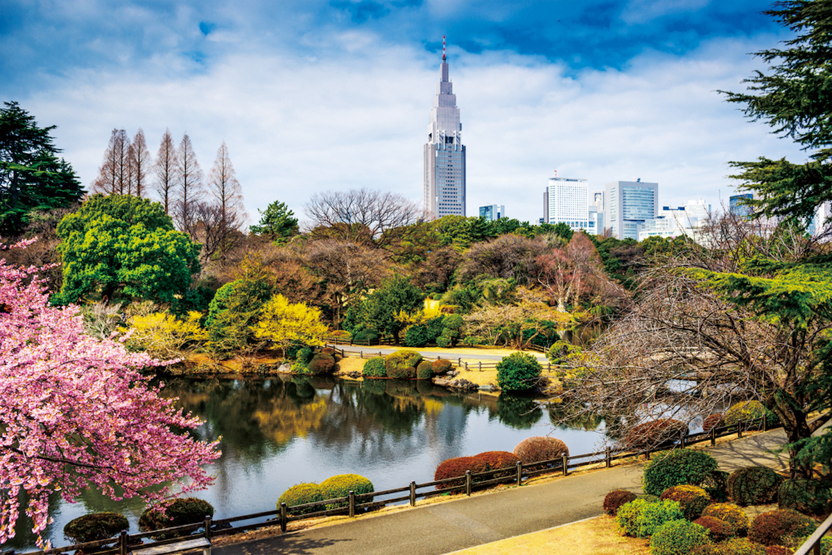 Gyoen Park, Shinjuku
