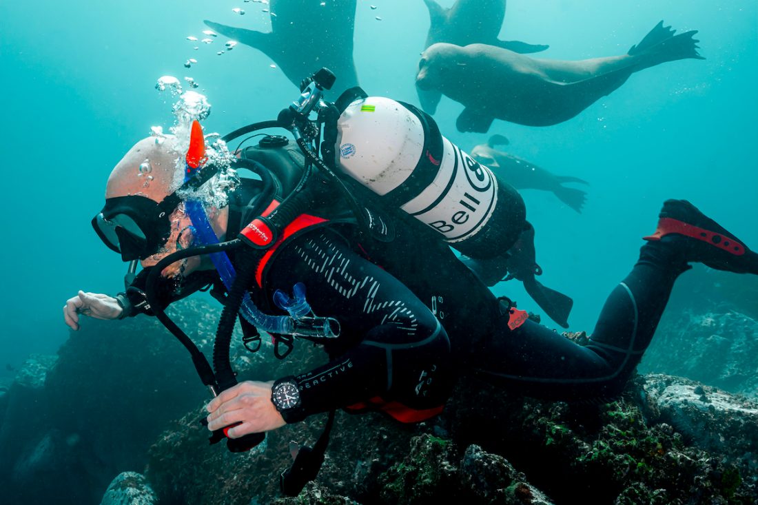 bell and ross divers