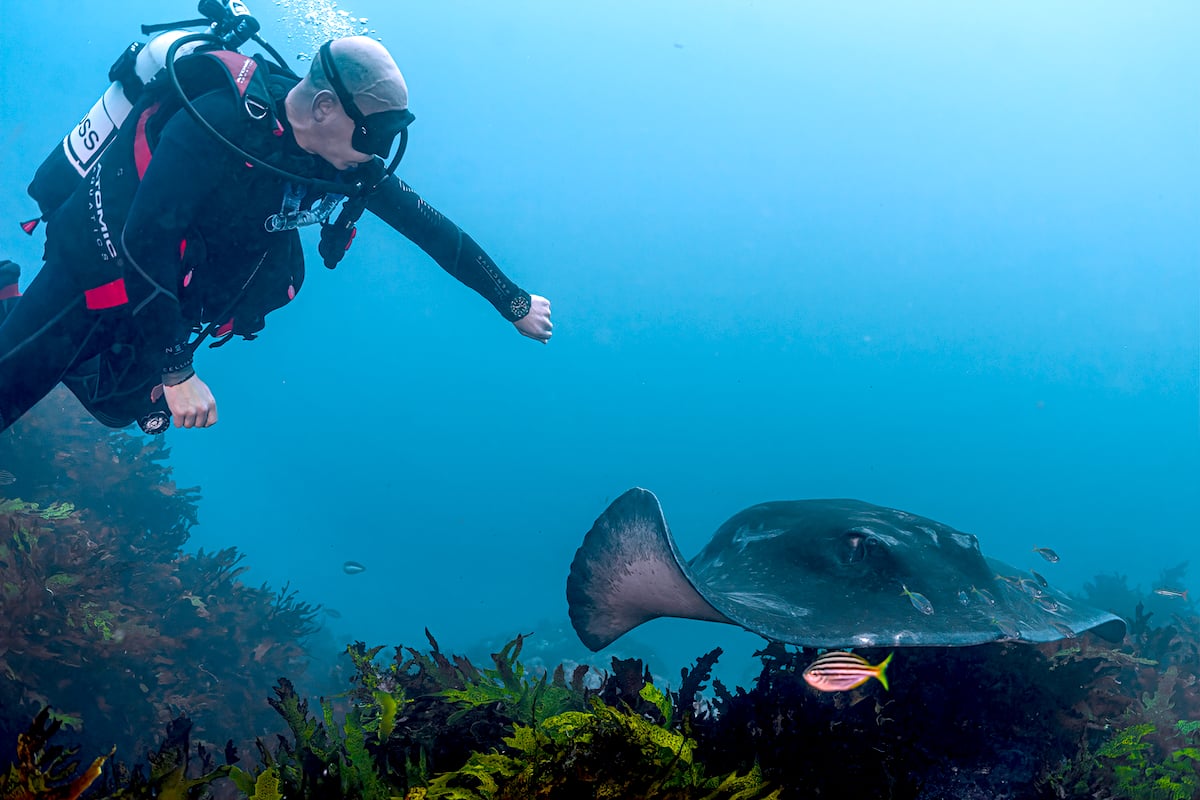 Diver with stingray