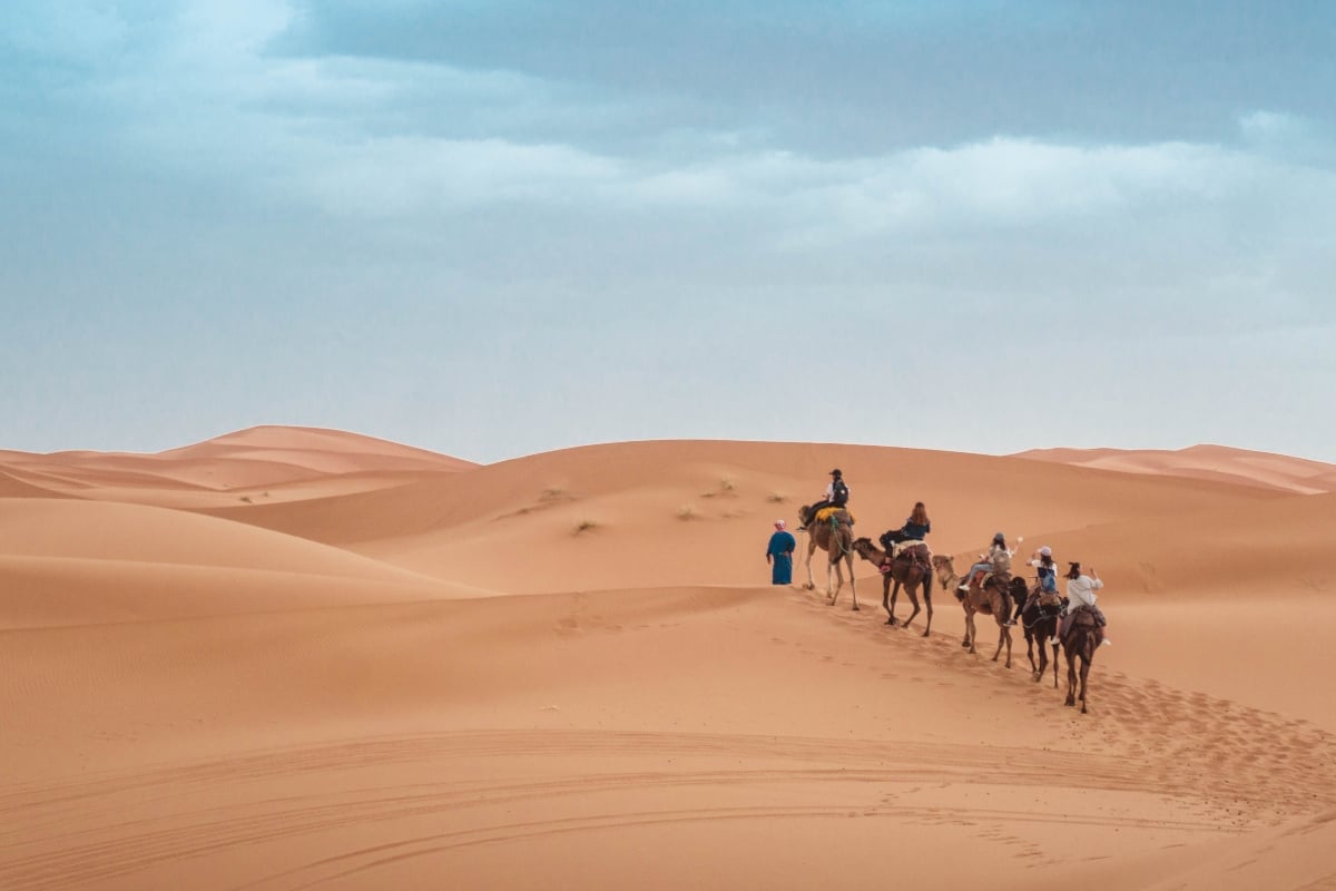 Camel trekking in the desert
