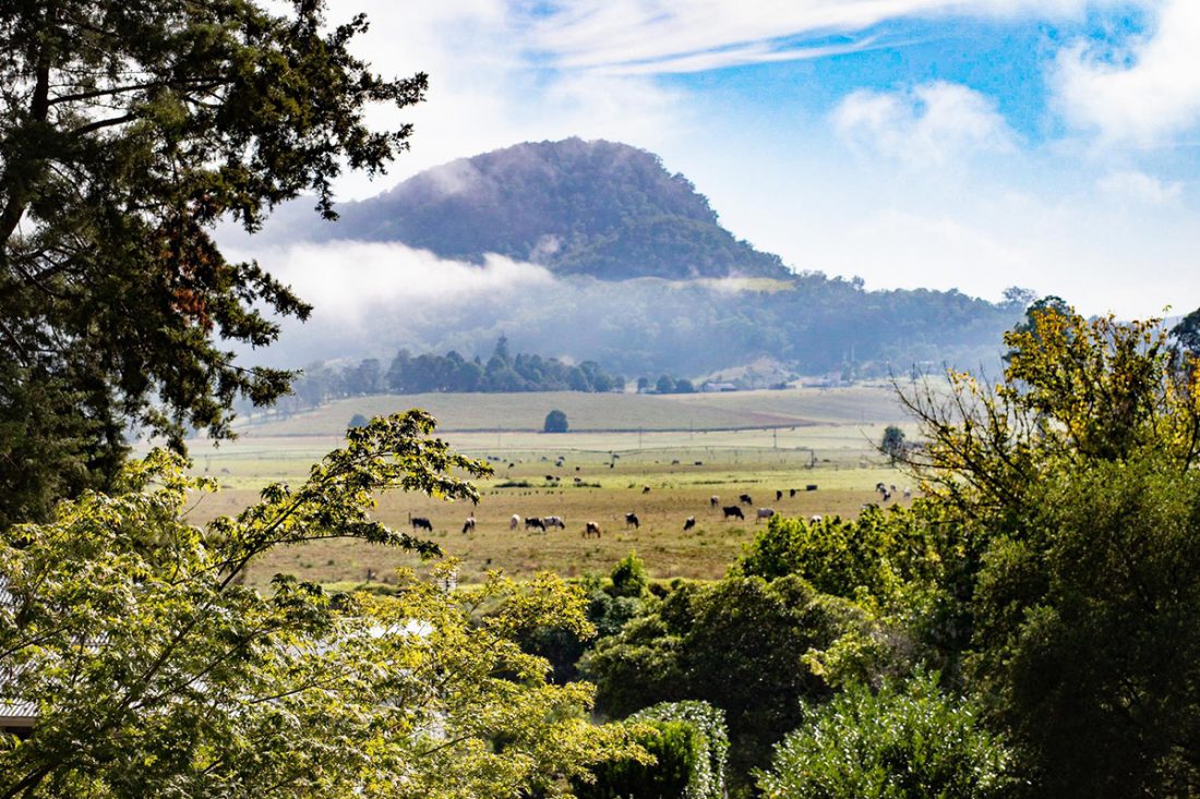 kangaroo-valley-image:Visit Kangaroo Valley Australia bushfire recovery Kangaroo Valley