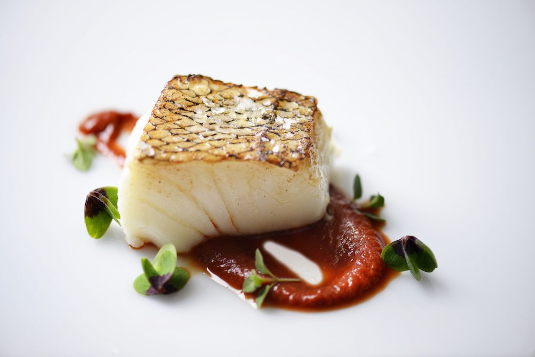 Austral-Fisheries Austral Fisheries