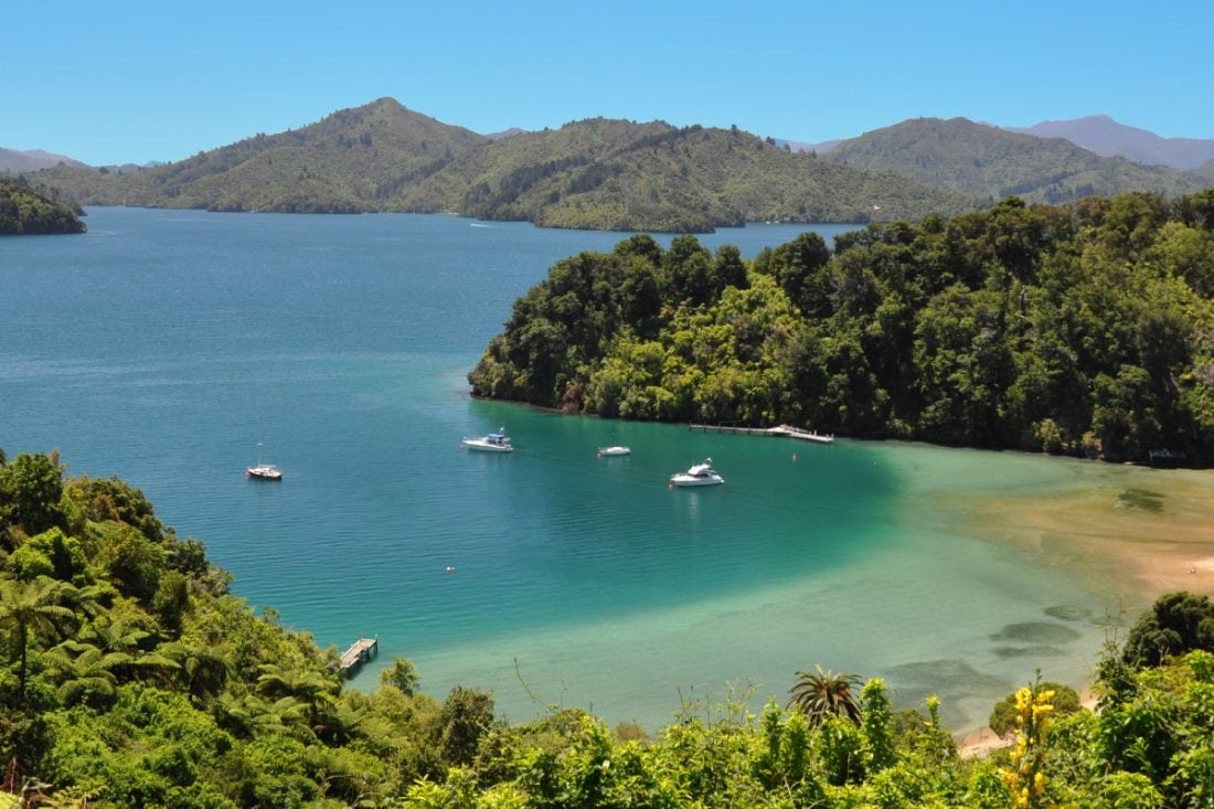 9 best spots to eat, sleep and stay at Marlborough Sounds