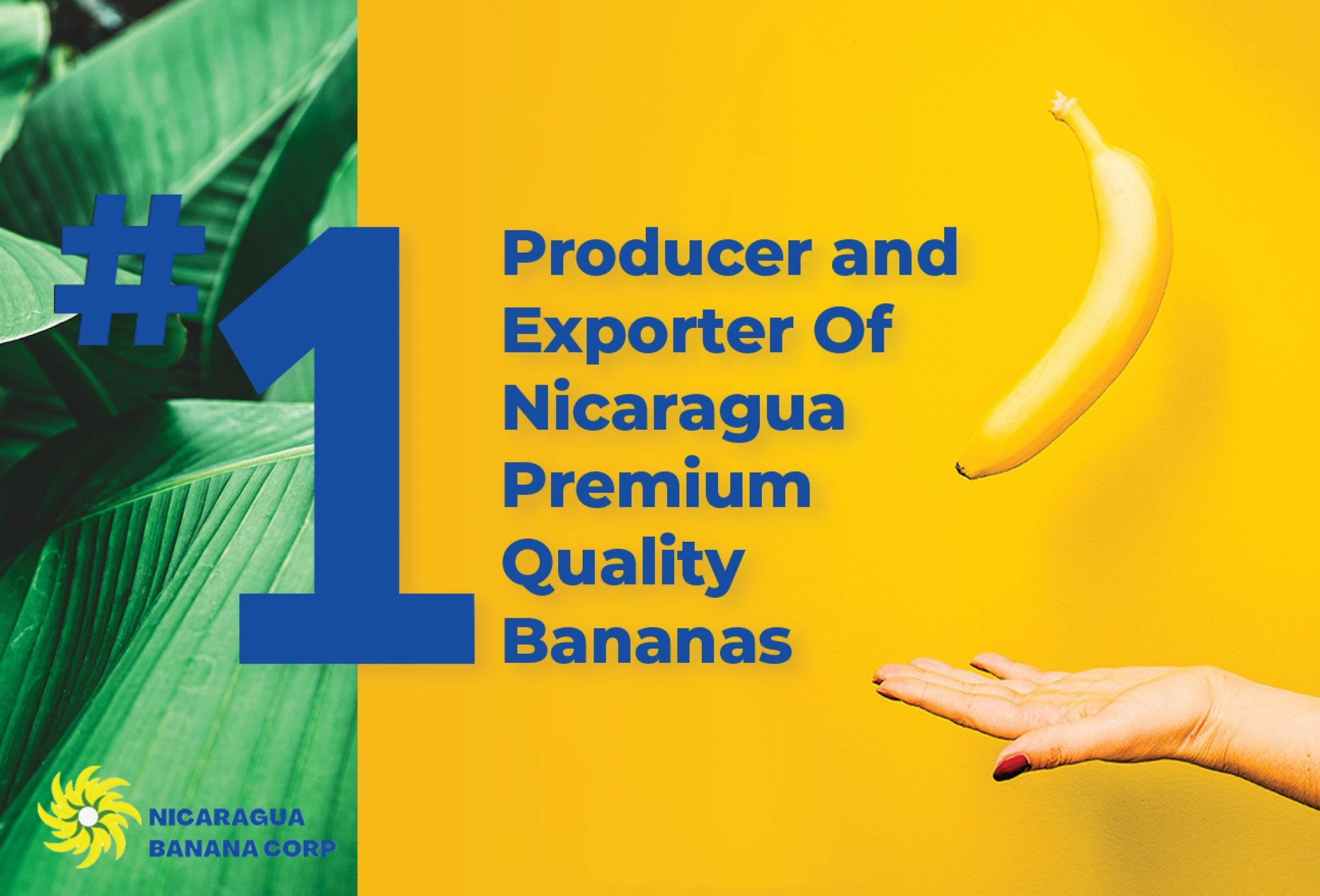 Nicaragua Banana Corp