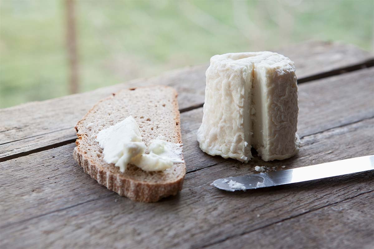 Why pule is the most expensive cheese in the world