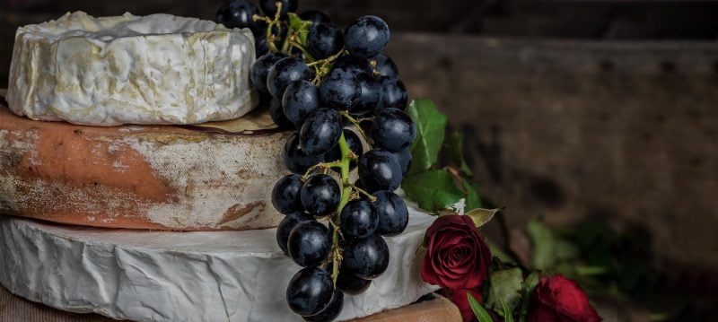 Worlds Most Expensive Cheese 3300x1479 1 800x359 