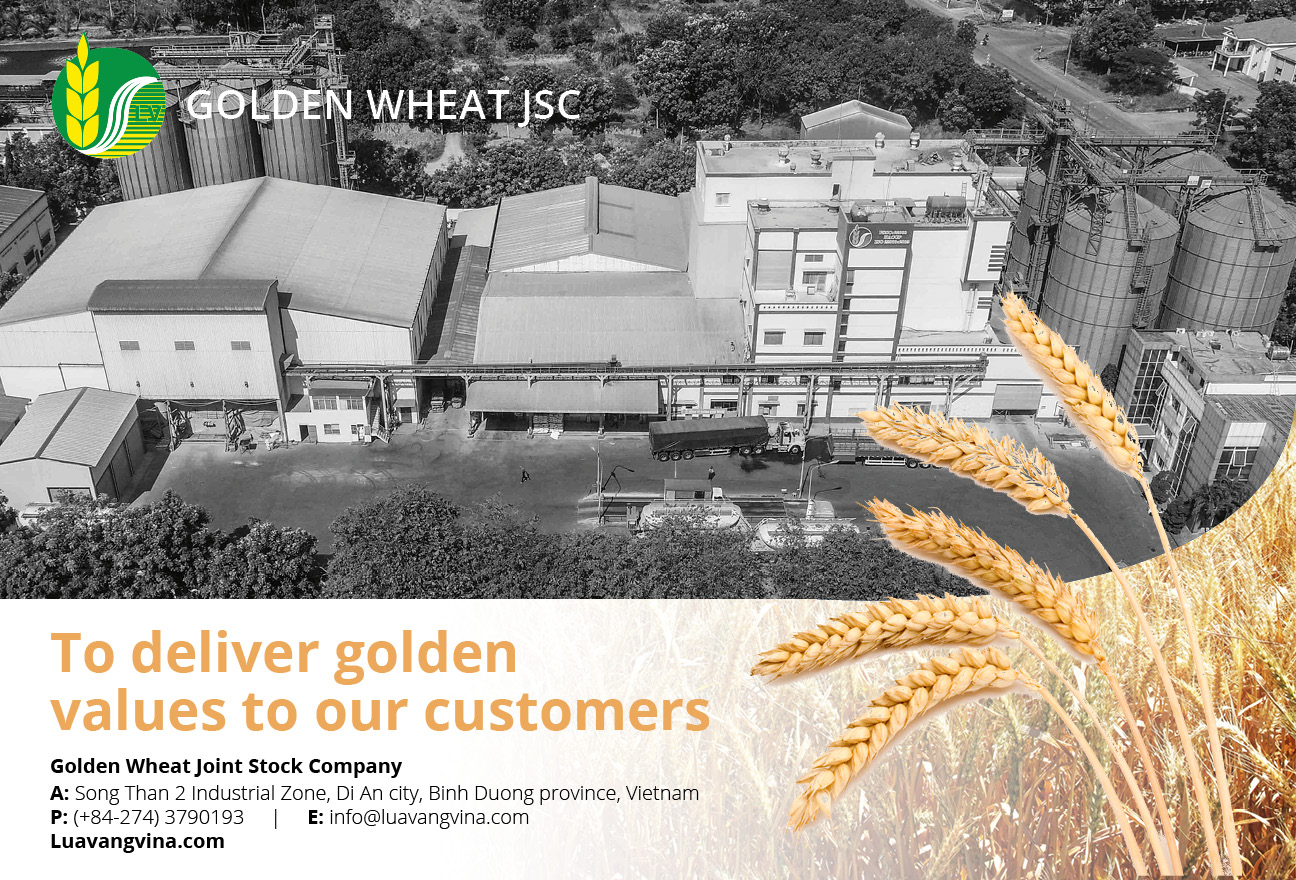 Golden Wheat