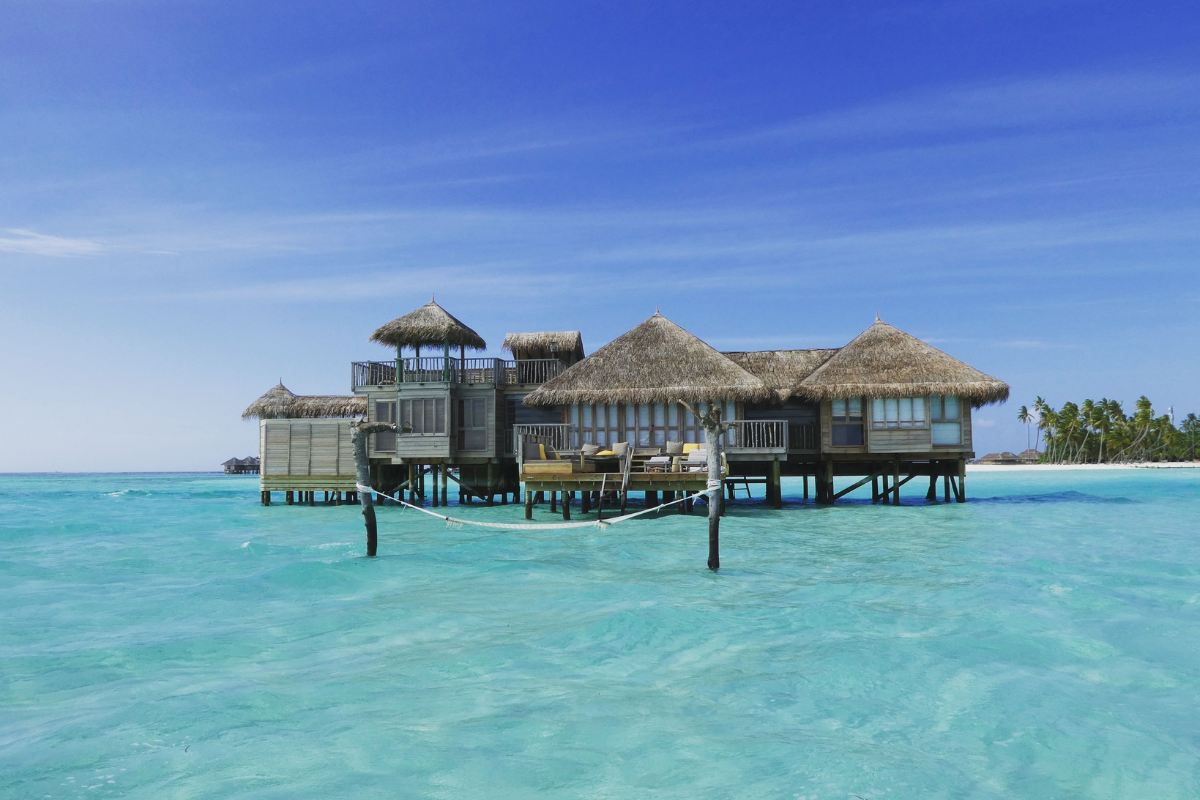 How Addicted To Maldives Director Turned Passion Into A Career