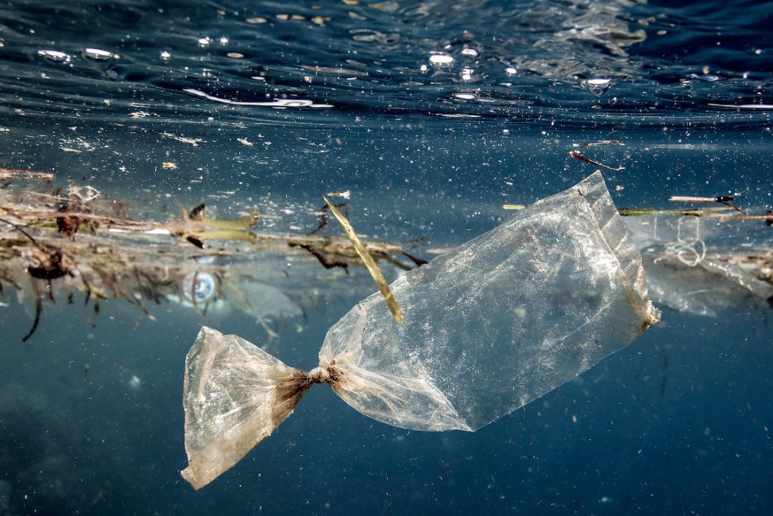 Four pioneering companies tackle the plastics problem head-on