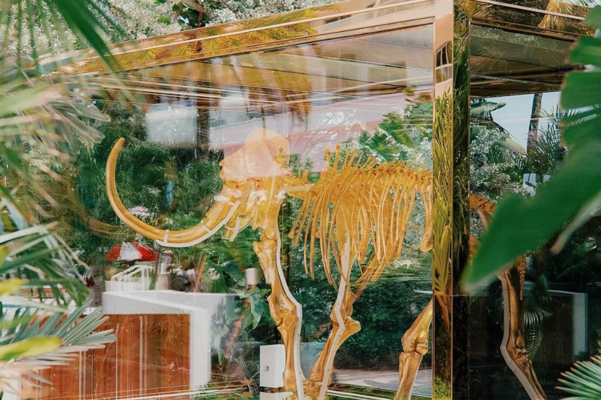 Golden woolly mammoth skeleton in a glass box in Miami