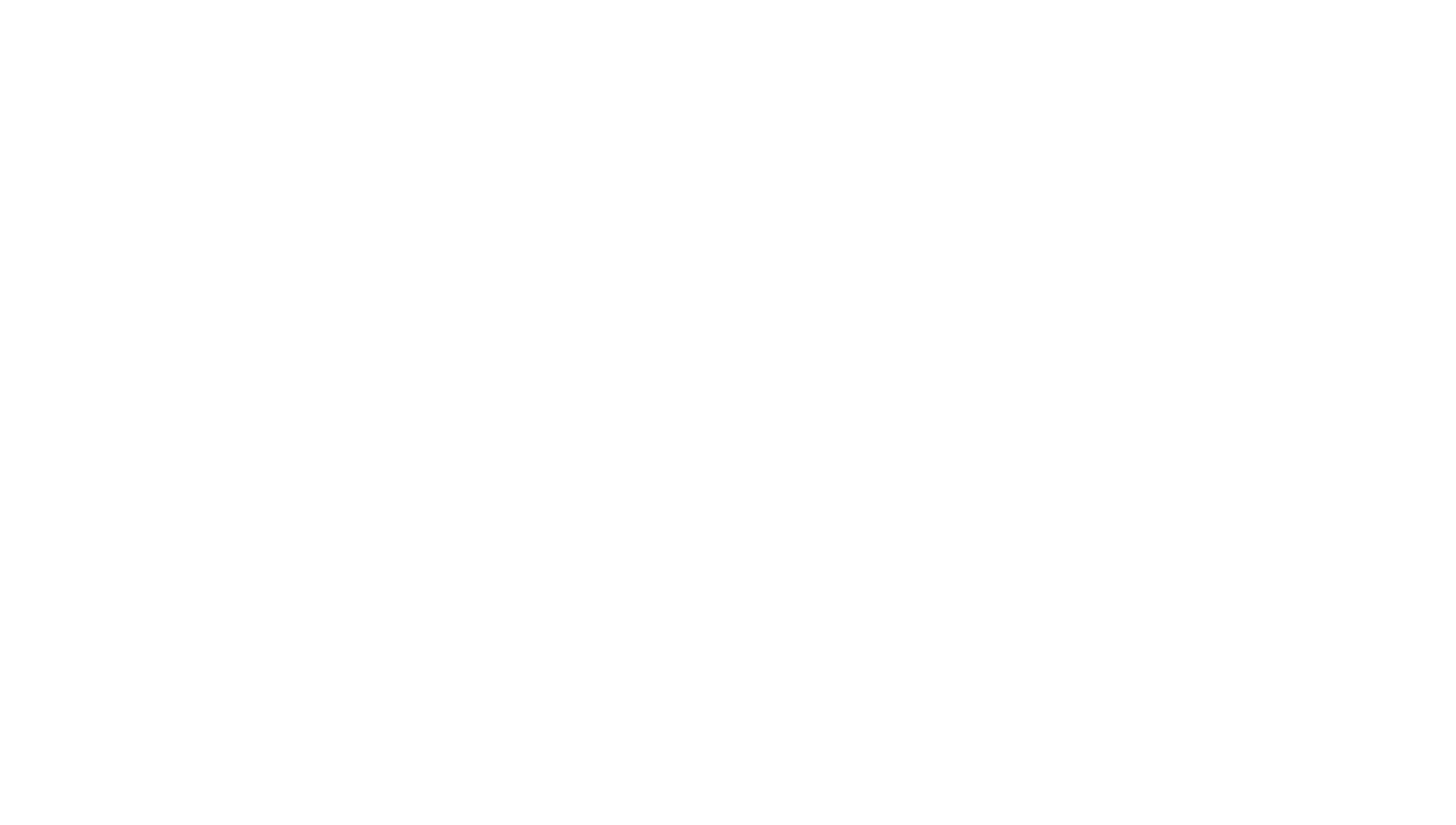 The CEO Magazine